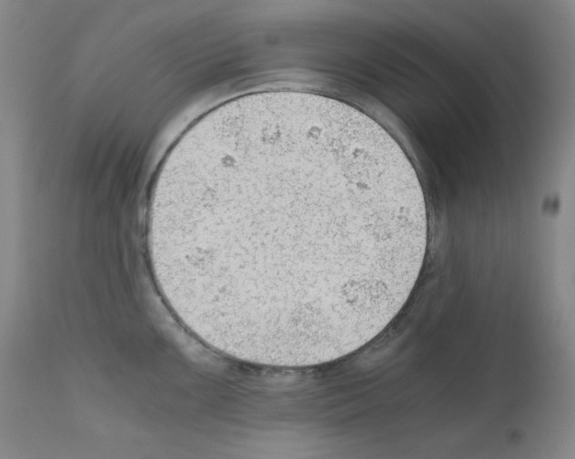 X0000110891099200907301536
