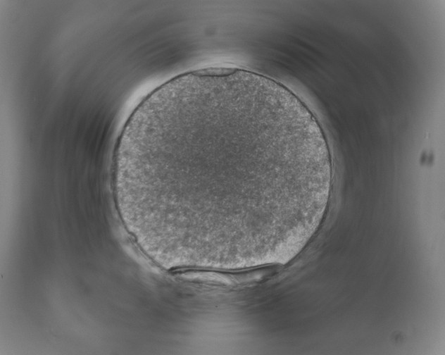 X0000110891104200907301536