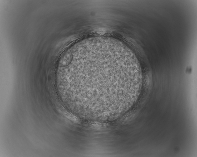 X0000110891105200907301535