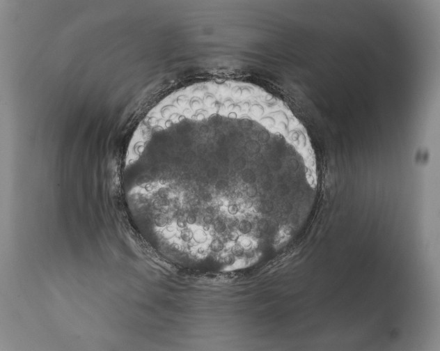 X0000110891106200907301535