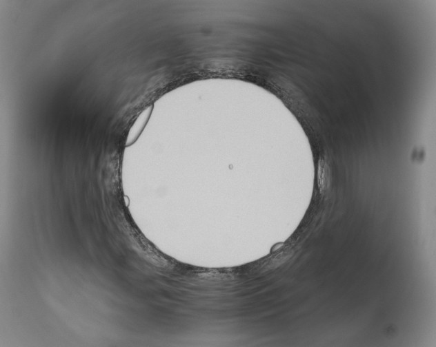 X0000110891107200907301535