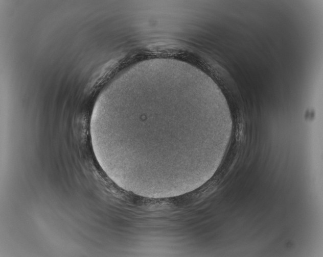 X0000110891108200907301535