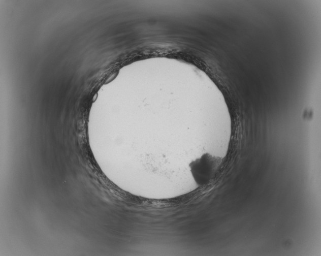X0000110891109200907301535