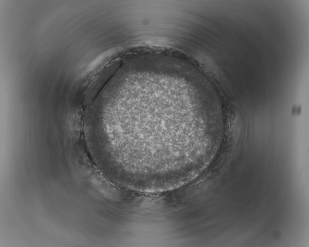 X0000110891110200907301535