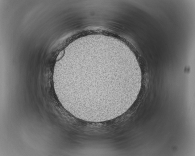 X0000110891111200907301535