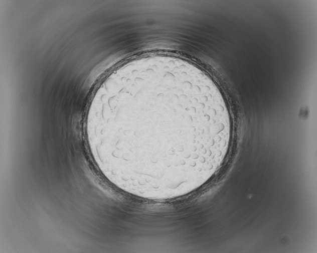 X0000110891113200907301535