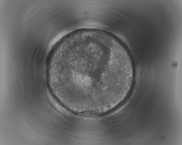 X0000110891114200907301535