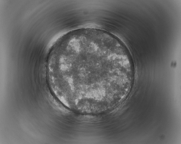 X0000110891115200907301535