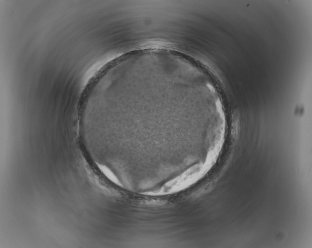 X0000110891117200907301535