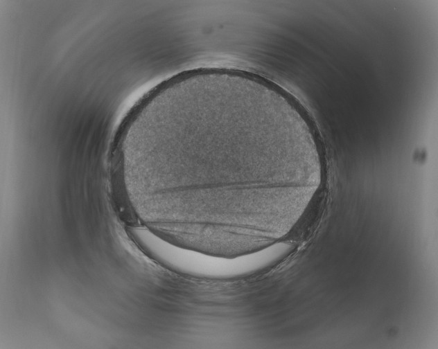 X0000110891120200907301535