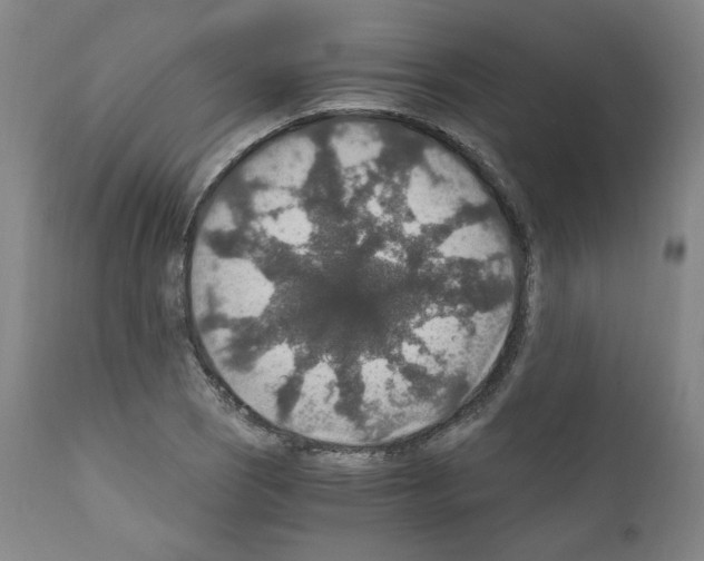 X0000110891121200907301535