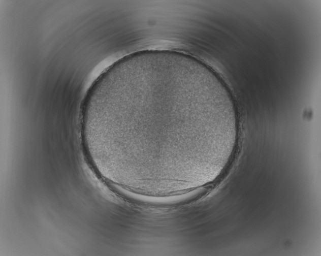 X0000110891122200907301535