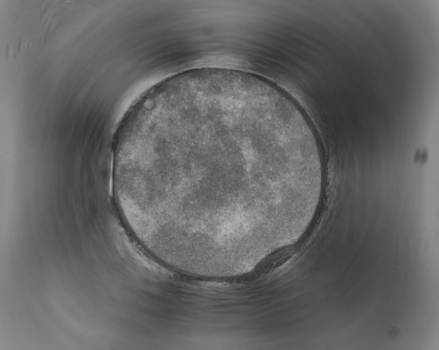 X0000110891123200907301535