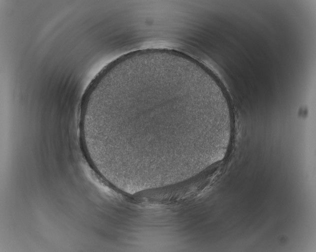 X0000110891124200907301535
