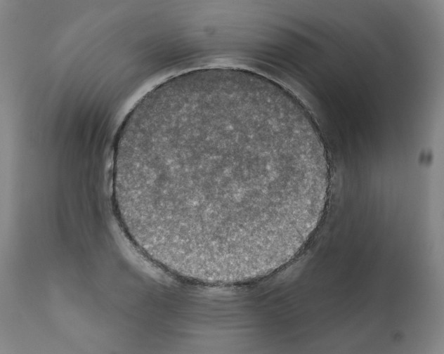 X0000110891126200907301535