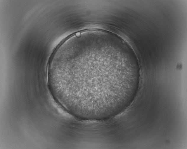 X0000110891127200907301535