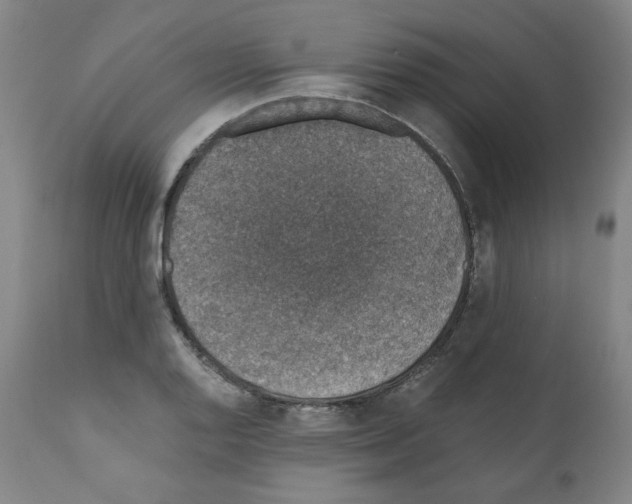 X0000110891128200907301535