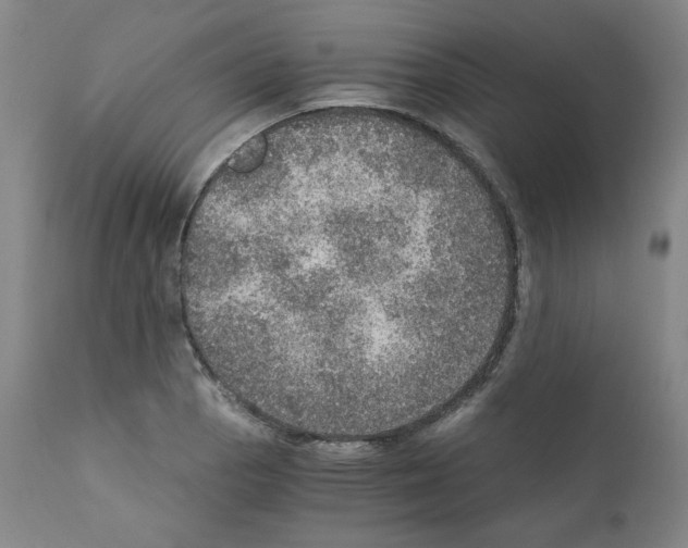 X0000110891129200907301535