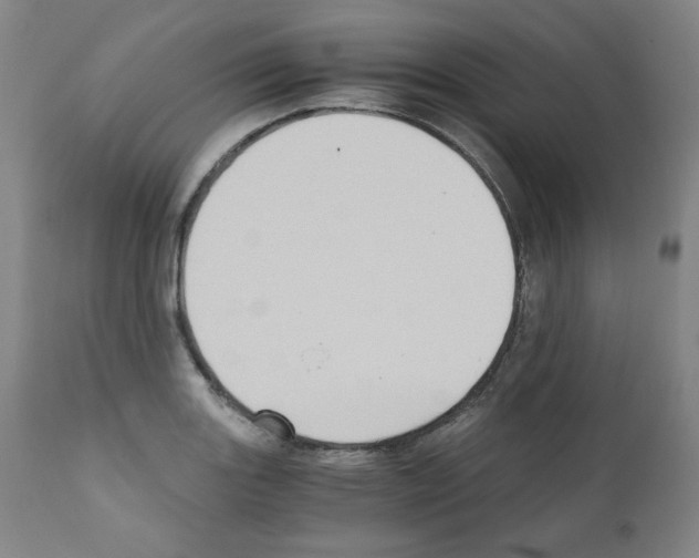 X0000110891131200907301535