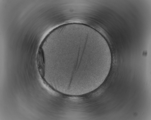 X0000110891132200907301535