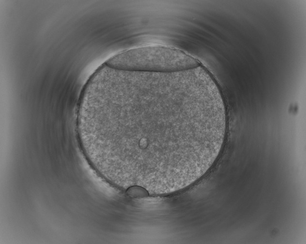 X0000110891134200907301535