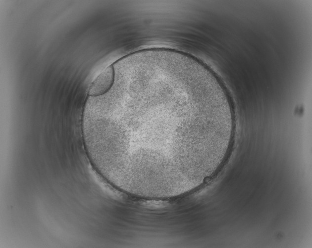 X0000110891137200907301535