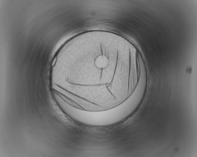 X0000110891138200907301535