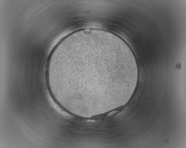 X0000110891139200907301535
