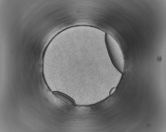 X0000110891140200907301535