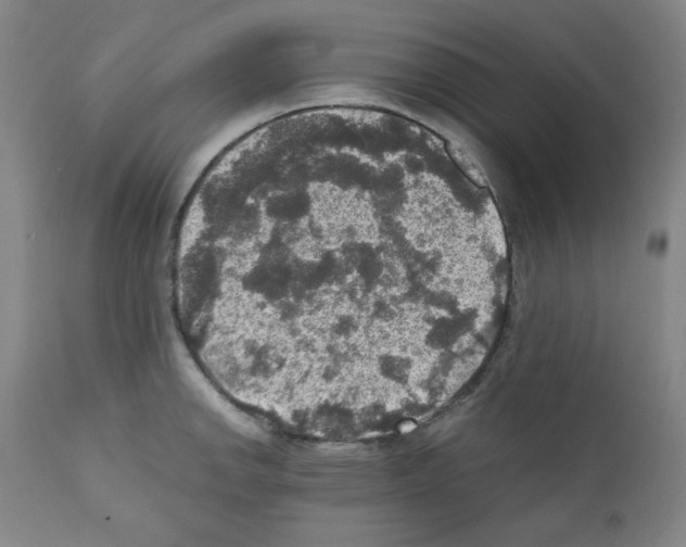 X0000110891142200907301536