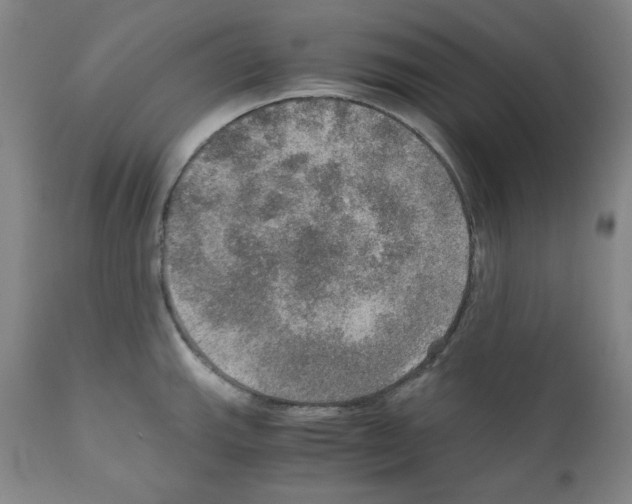 X0000110891143200907301536