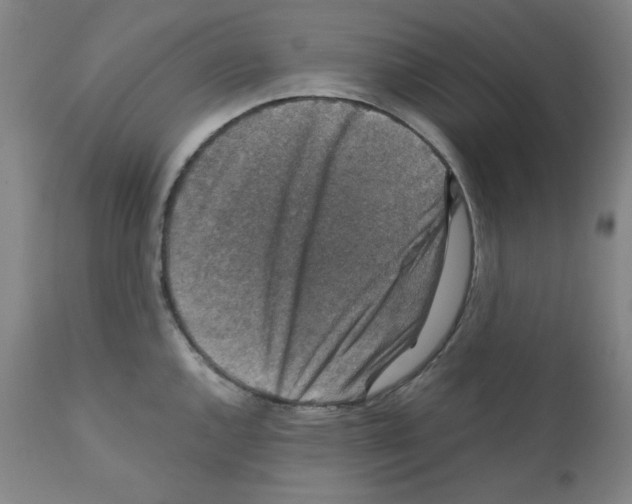 X0000110891144200907301536