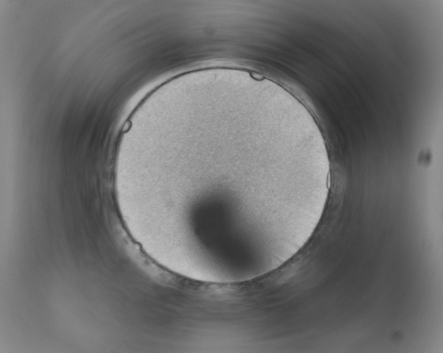 X0000110891148200907301536