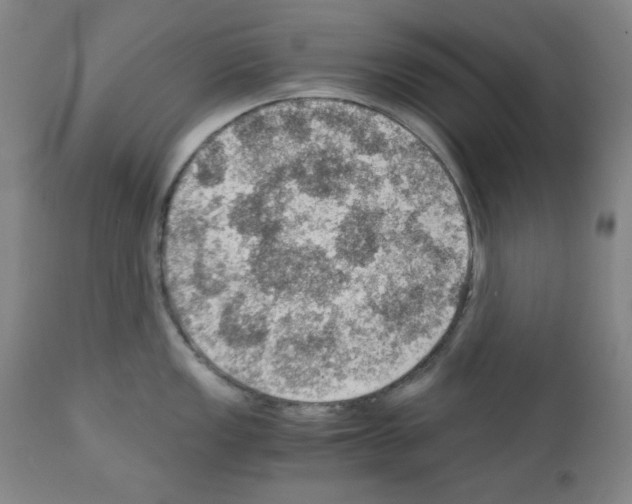X0000110891149200907301536