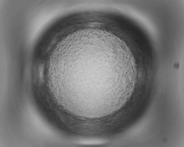 X0000110891150200907301536