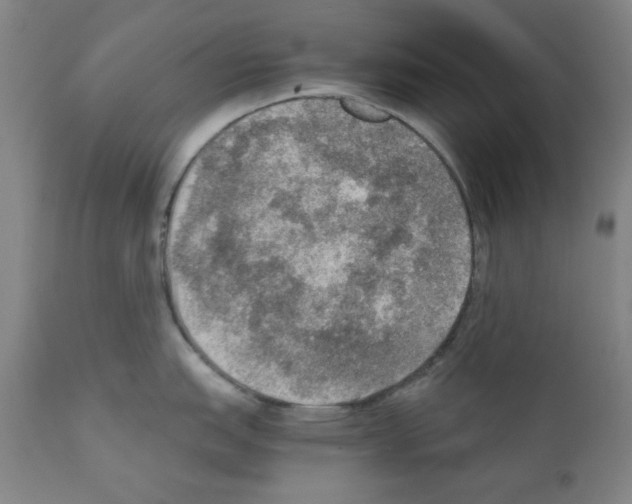 X0000110891151200907301536