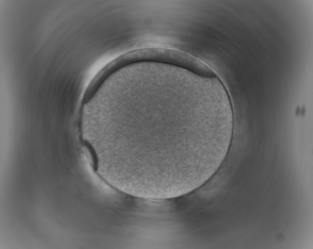 X0000110891152200907301536