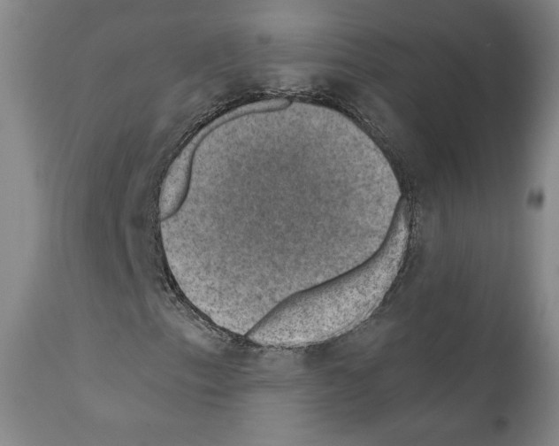 X0000110891153200907301535