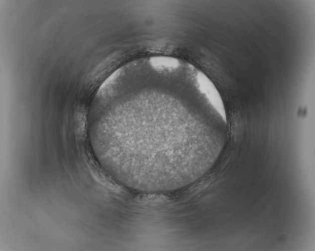 X0000110891154200907301535