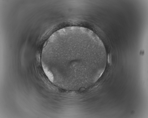 X0000110891155200907301535
