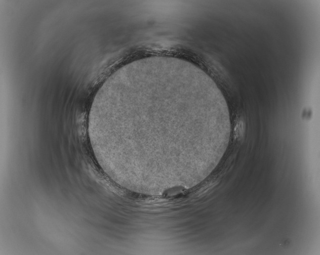 X0000110891156200907301535