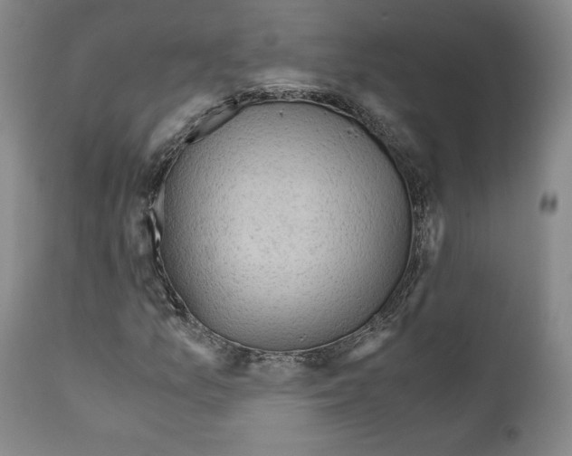 X0000110891157200907301535