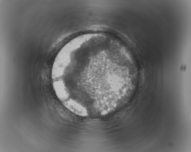 X0000110891158200907301535