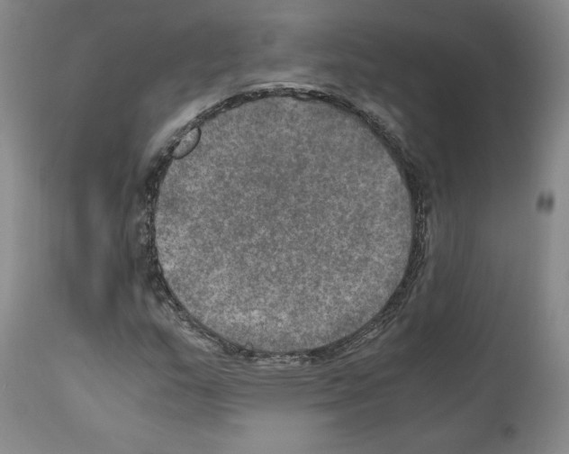 X0000110891159200907301535