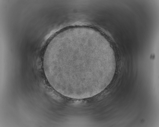 X0000110891160200907301535