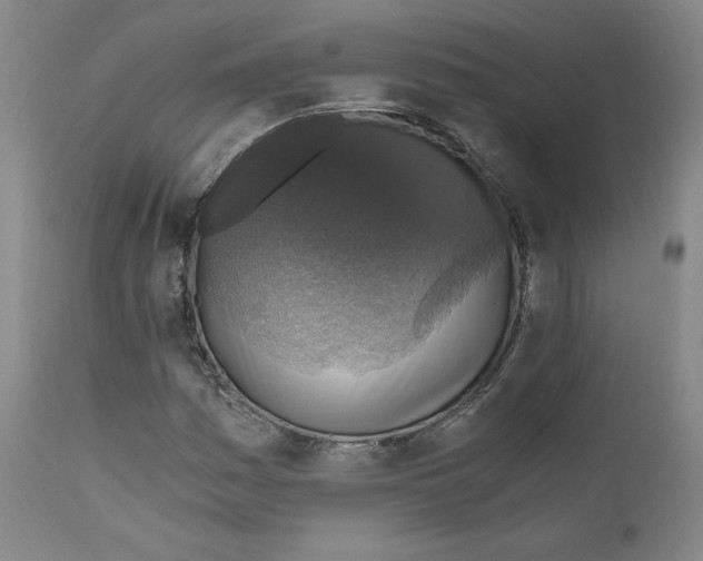X0000110891161200907301535