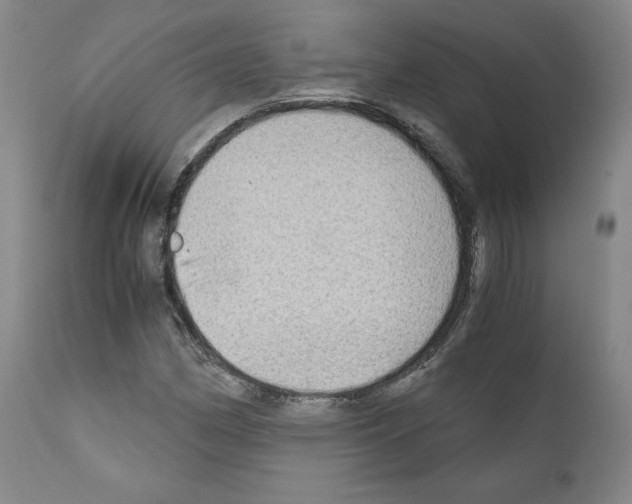 X0000110891162200907301535