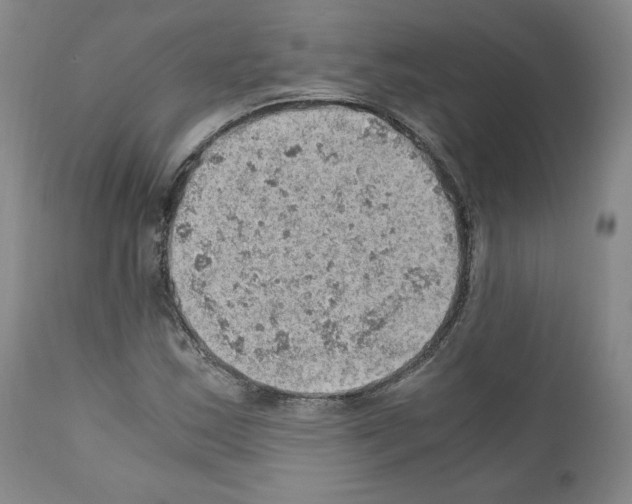 X0000110891163200907301535