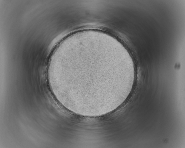 X0000110891164200907301535