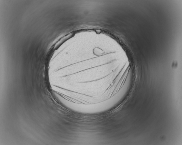 X0000110891165200907301535